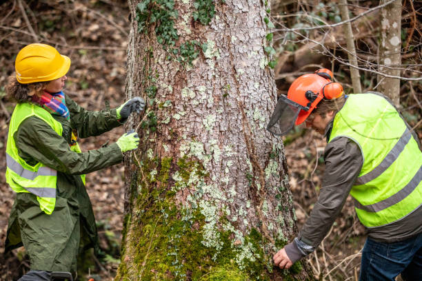 Best Fruit Tree Pruning  in Slippery Rock, PA